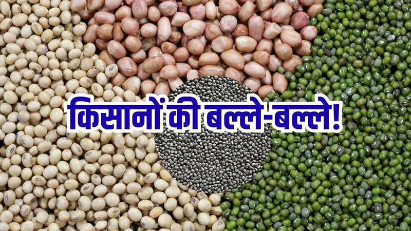 Kisan ki Khabar, MSP Procurement, MSP online registration