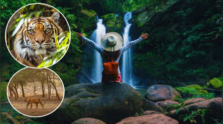 सुंदरबन नेशनल पार्क की रोमांचक यात्रा, 3 दिन की है ट्रिप, सिर्फ इतना है खर्चा