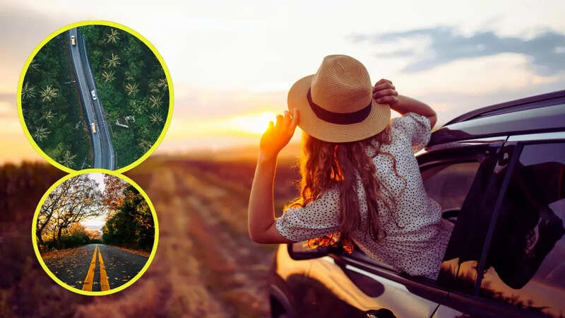 Northeast India tourism (photo: canva)