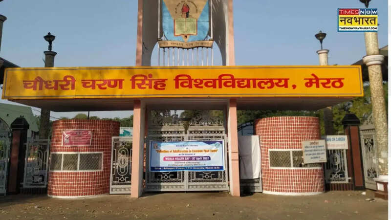 ​ccsu exam traditional and profesional semester exam​