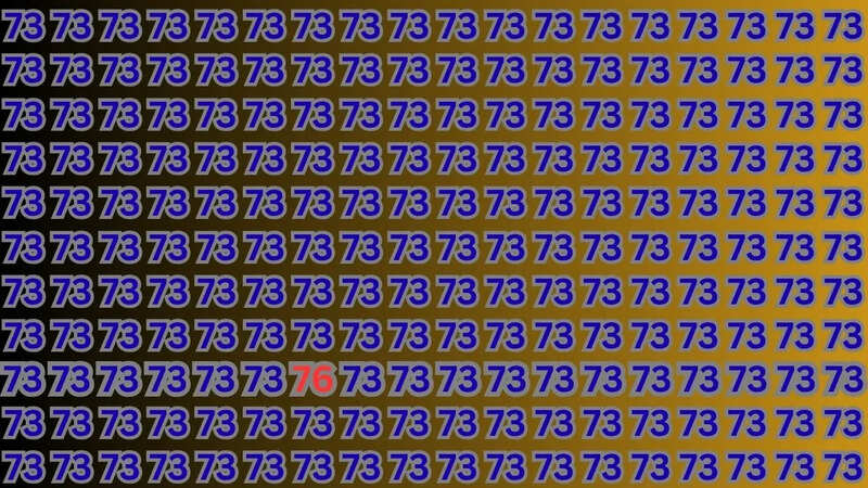 Optical Illusion Result