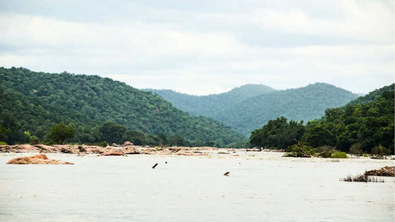 Kaveri River (Photo: Canva)