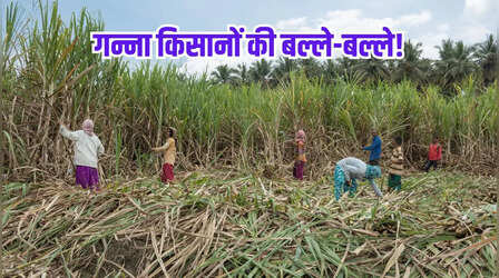 दिवाली पर किसानों को तोहफा! इस राज्य सरकार ने गन्ने का भाव किया देश में सबसे ज्यादा, जानें अब है कितना