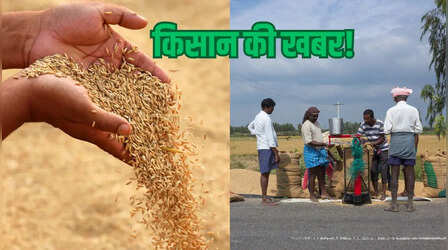 Dhan ki Kharid Date: पूर्वी उत्तर प्रदेश में MSP पर धान की सरकारी खरीद की तारीख का ऐलान, बनाए गए 3790 सेंटर