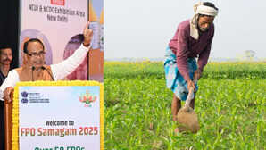 किसानों के लिए खुशखबरी! नए बीज कानून लाने की तैयारी में सरकार