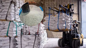 Rice Export: 172 देशों में ‘मेड इन इंडिया’ चावल की गूंज, निर्यात में बंपर बढ़ोतरी की उम्मीद, टूटेंगे सारे रिकॉर्ड!