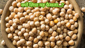 किसानों के लिए जरूरी खबर, पीली मटर के आयात पर 1 नवंबर 2025 से लगेगा 30 प्रतिशत शुल्क