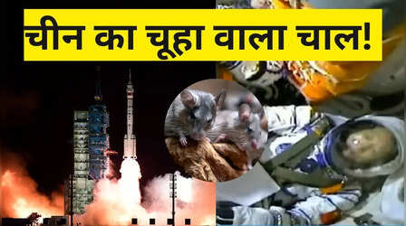 Photos: चीन ने अंतरिक्ष में क्यों भेजे 4 चूहे? देश के सबसे युवा अंतरिक्ष यात्री को सौंपी गई ये जिम्मेदारी