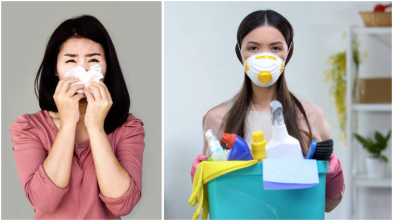 घर का प्रदूषण साइनस को कैसे प्रभावित करता है