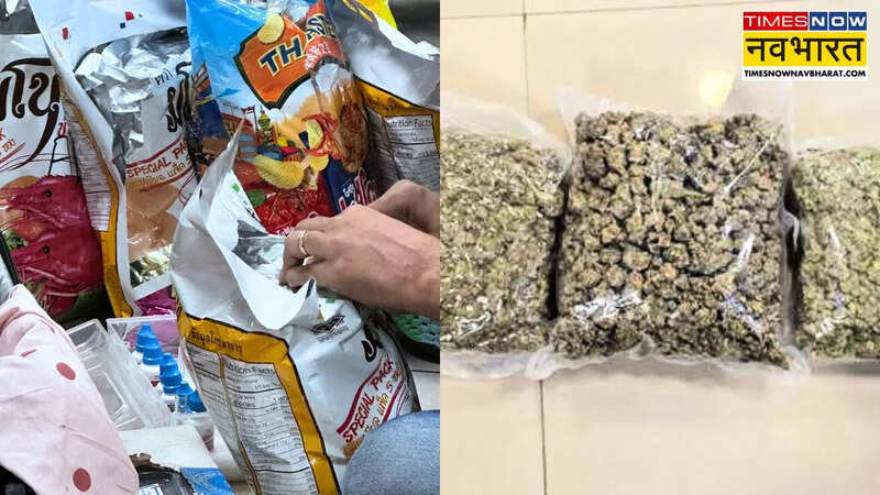 मुंबई एयरपोर्ट पर DRI का बड़ा एक्शन; खाने के पैकेट में मिला 42 करोड़ का हाइड्रोपोनिक वीड, 2 यात्री गिरफ्तार