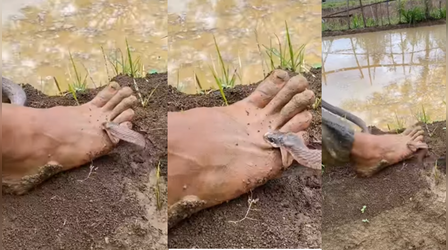 Today Viral Video: सांप को पैर से कुचल रहा था शख्स, फिर जो हुआ उसे देखकर आपकी दुनिया हिल जाएगी