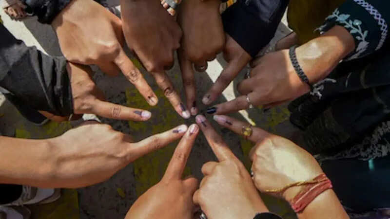 आयोग ने मतदाता सूची को अपडेट करने के अपने फैसले का बचाव किया