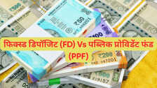 PPF बनाम FD: लॉन्ग टर्म निवेश के लिए इनमें कौन है बेहतर निवेश विकल्प? यहां समझें पूरी बात