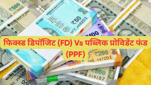 PPF बनाम FD: लॉन्ग टर्म निवेश के लिए इनमें कौन है बेहतर निवेश विकल्प? यहां समझें पूरी बात