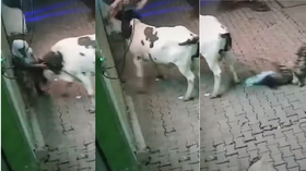 Today Viral Video सांड ने महिला को उठा-उठाकर ऐसे पटका देखकर आपकी निकल जाएगी चीख