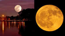 आज होगा 'बीवर मून' का दीदार, जानिए 5 नवंबर को सुपरमून दिखने का समय और महत्व
