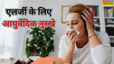मौसमी एलर्जी से परेशान हैं? आजमाएं ये 4 आयुर्वेदिक नुस्खे, नेचुरल तरीके से मिलेगी राहत