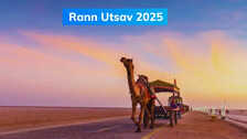 परिवार संग करें Rann Utsav का अनोखा अनुभव, जहां हर रेत का कण कहता है कहानी