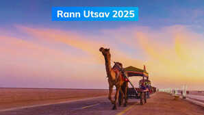 परिवार संग करें Rann Utsav का अनोखा अनुभव, जहां हर रेत का कण कहता है कहानी
