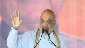 Bihar Election:'बिहार में अब शहाबुद्दीन जैसे बाहुबली कभी नहीं पैदा हो सकते...', मोतिहारी में बरसे अमित शाह