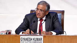 बिहार ने तोड़े सभी रिकॉर्ड! 1951 के बाद सबसे ज्यादा हुई वोटिंग; CEC ज्ञानेश कुमार ने कही बड़ी बात