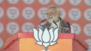 Bihar Assembly Elections: 'बिहार चुनाव के पहले चरण में NDA को भारी बढ़त...' बोले पीएम मोदी