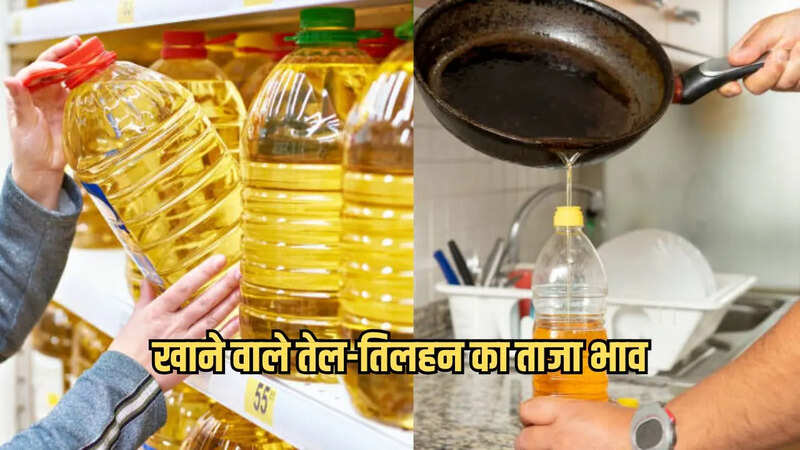 khane vale tel ka bhav, edible oils Prices, oilseeds prices