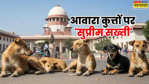 अवारा कुत्तों-जानवरों पर सुप्रीम कोर्ट सख्त, राजमार्गों, सड़कों, शैक्षणिक संस्थानों, अस्पतालों से हटाने का आदेश