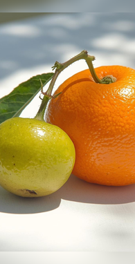 संतरा या आंवला किसमें भरा है ज्यादा विटामिन-सी जान लें सच्चाई