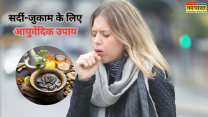 Home Remedies : मौसम बदलते ही पड़ गए बीमार? सर्दी-जुकाम से बचाएंगे ये आसान घरेलू उपाय