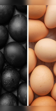 काला अंडा या सफेद अंडा जानें कौन हैं सेहत का किंग जिसमें भरा है प्रोटीन
