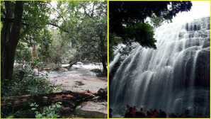 फिल्मी लोकेशन से रियल एडवेंचर तक, शहर की भीड़ से दूर जरूर जाएं Thombattu Waterfall