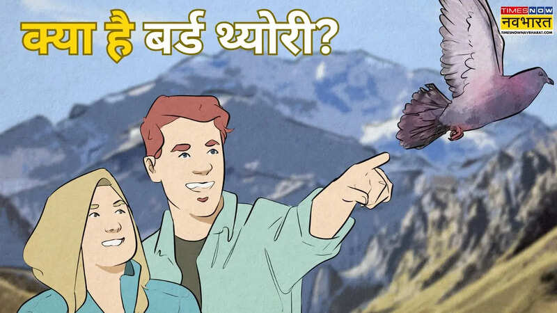 Bird Theory in Relationship