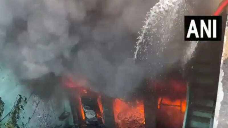 Fire in a House in Sitapur (Photo: ANI)