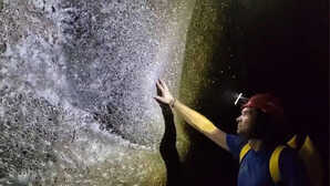 आज का वायरल वीडियो (10-NOV-2025): इस जगह पर मिला दुनिया का सबसे बड़ा मकड़ी जाल, इसमें आसानी से ढंक जाएंगे 530 लोग