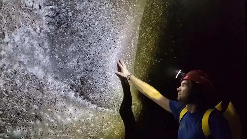 Scientists discovered the worlds largest spiderweb covering 106 meter square in a sulfur cave on the Albania Greece border