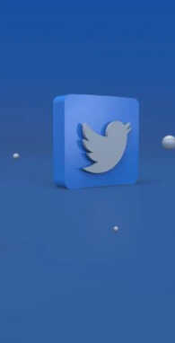 Twitter में दिखने वाली चिड़िया का नाम क्या था जानना चाहेंगे आप