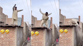 Today Viral Video मजे लेते हुए छत पर उछल रहा था शख्स फिर ऐसे गिरा जिंदगीभर नहीं भूल पाएगा