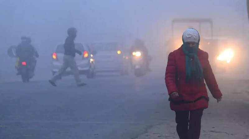 ​Weather today: Cold wave conditions in Delhi