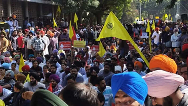 punjab university protest 