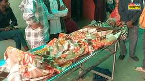 हरदोई में आवारा सांड का तांडव, 11 लोगों को उठाकर पटका; 2 की मौत 9 गंभीर घायल