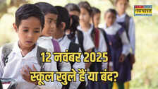 School Holiday Today: आज बुधवार 12 नवंबर को बंद हैं या खुले हैं स्कूल? दूर करें कंफ्यूजन