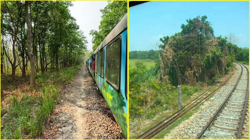 अनोखी ट्रेन यात्रा