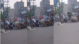 Today Viral Video बीच सड़क दो सांडों ने मचाया ऐसा तांडव देखकर लोगों के रोंगटे खड़े हो गए