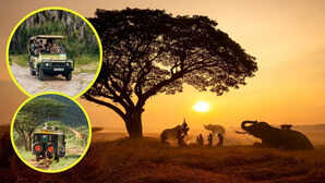 बच्चों को जरूर कराएं ये 5 वाइल्डलाइफ सफारी, फैमिली ट्रिप के लिए परफेक्ट डेस्टिनेशन