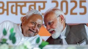 Bihar Election Result: ...तो क्या इस रणनीति की वजह से जीते बिहार विधानसभा चुनाव?