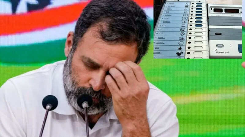 rahul gandhi on bihar election result