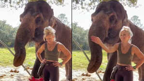 केयरटेकर के साथ मस्ती करते दिखा हाथी, आपका भी मन मोह लेगा गजराज का यह मजाकिया अंदाज