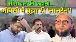 Bihar Election Result: AIMIM ने लिया राजद से 'बदला', NDA की प्रचंड लहर में सीमांचल में कैसे अपनी 'नाव' बचा ले गए ओवैसी?