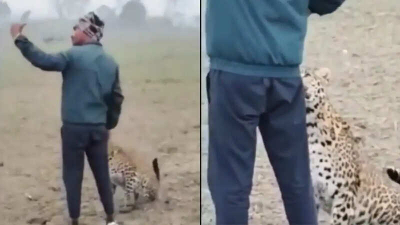 Farmer in India took a selfie with a leopard